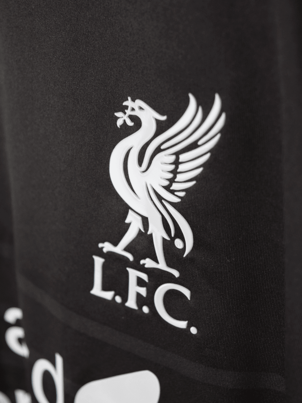 2015 Liverpool Third - Philippe Coutinho #10 Large WSTM551