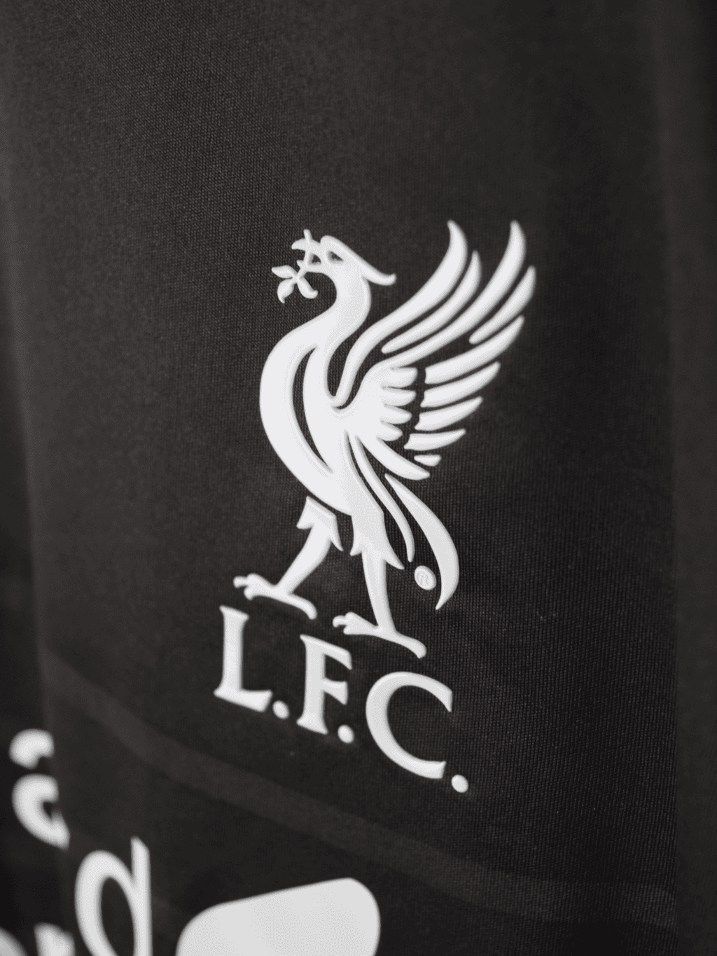 2015-liverpool-third-philippe-coutinho-10-large-wstm551-6
