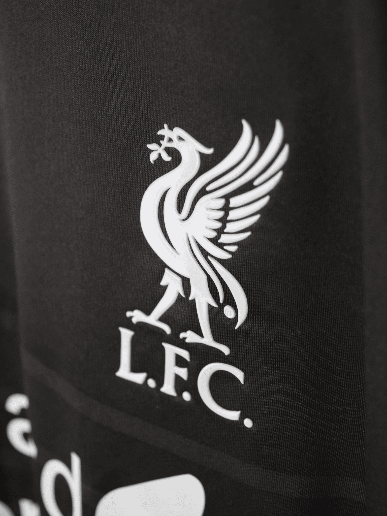 2015-liverpool-third-philippe-coutinho-10-large-wstm551-6